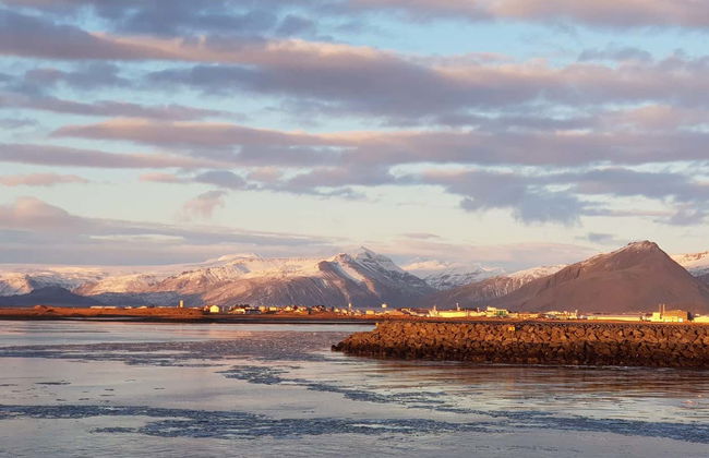 Balade en 4x4 le long des plages de sable noir de Suðurfjörur - Photo 8