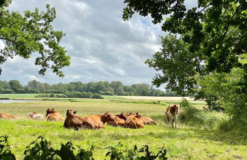 HAUS ZWEINEUN - Foto 28