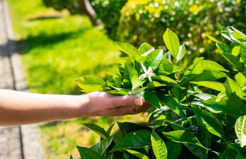 Casa do Fontão - Foto 46