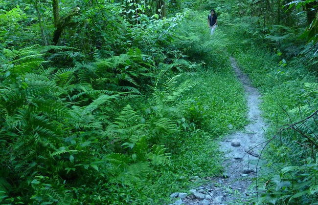 Towns of Tucuman Tour - Photo 6