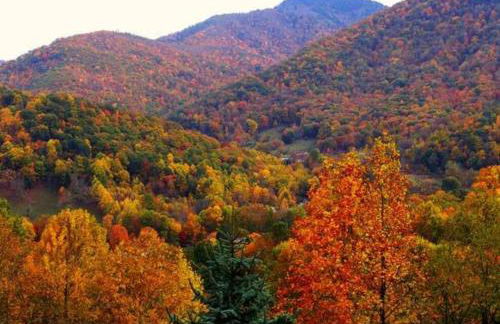 Beautiful Log Cabin with Panoramic Views - Foto 26