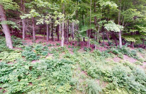 Quechee Hollow 2C - Foto 2