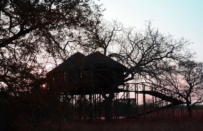 Pezulu Tree House Lodge - Foto 63