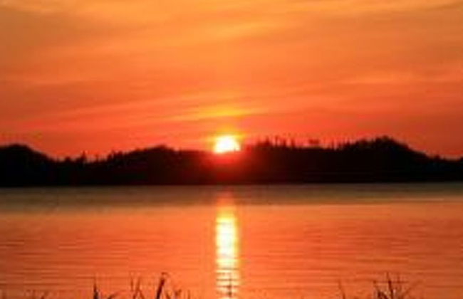 Korvenvalkama - Foto 15