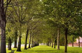 Un passo dal lago - Photo 39