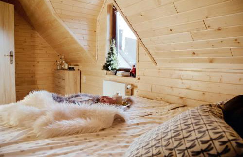 Wiśniewski Apartamenty pod Szczyrkiem - Foto 28