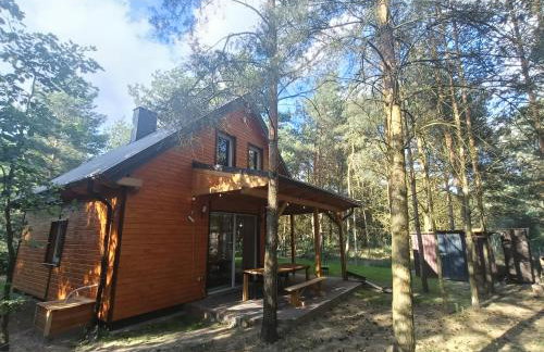 Domek nad jeziorem Wilczyńskim - Foto 8