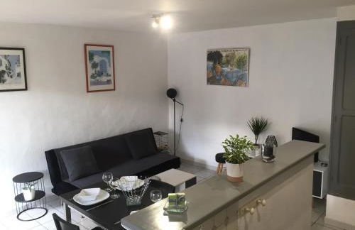 T2 avec TERRASSE, CLIM , box fibre - Foto 18