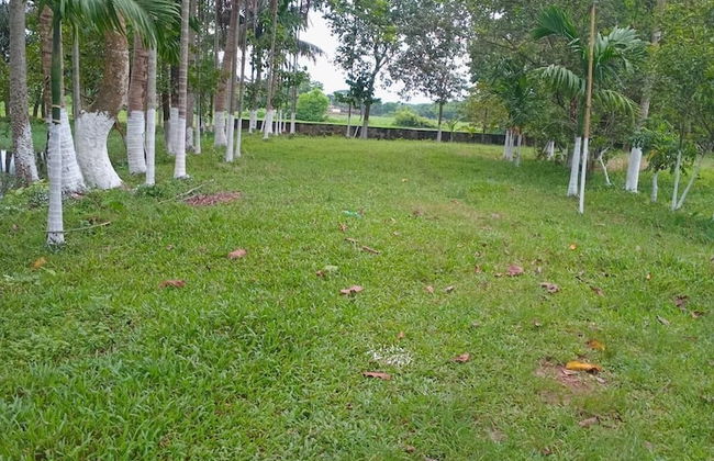 Aminvilla Resort - Foto 21