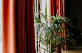 The Stables Apartment at Cefn Tilla Court, Usk - Foto 11