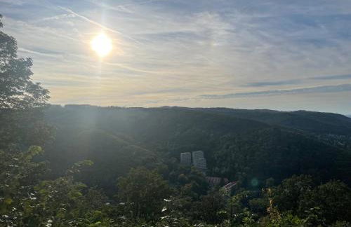 Apartment Beletage Bad Harzburg - Foto 47