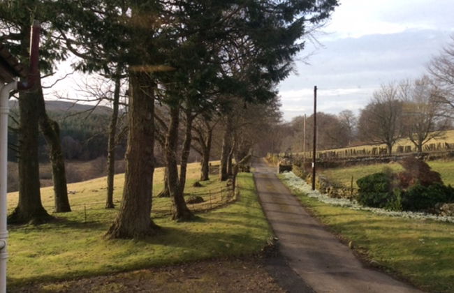 Wester Riechip - Foto 18