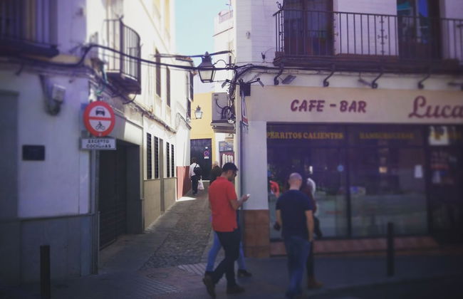 I Loft Córdoba - Foto 22