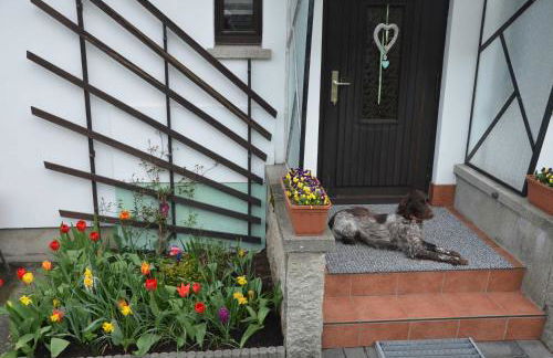 Ferienhaus Harztraum - Foto 3