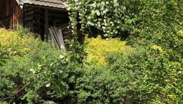 Ferienwohnung Christensen - Foto 3, Garden view