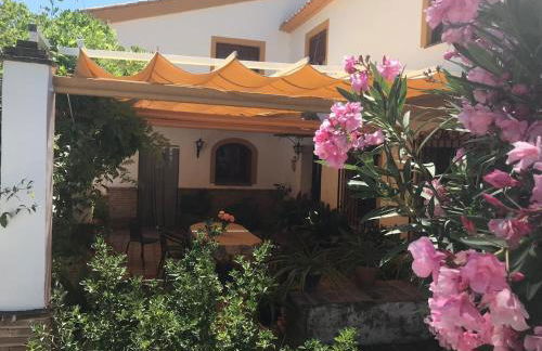 Paredejas del Rey - Foto 8