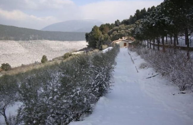 Agriturismo Istrice Innamorato - Foto 49