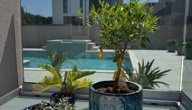 Villa Vida, Medulin - Bazen i jacuzzi - Foto 3