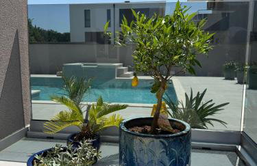 Villa Vida, Medulin - Bazen i jacuzzi - Foto 3