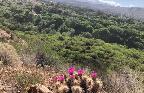 Shooting Star Lodge - Foto 42