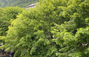 AU 47 ALLÉES D'ETIGNY - CENTRAL & STANDING - avec parking - Linge de lit et de toilette inclus - Foto 75