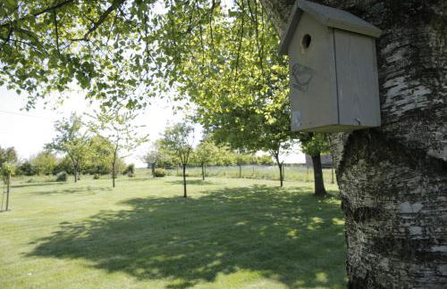 La Croix Bala - Foto 22