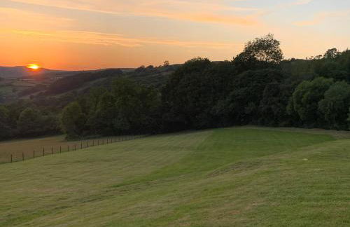 Llwyn Llwyd Cottage - Photo 9