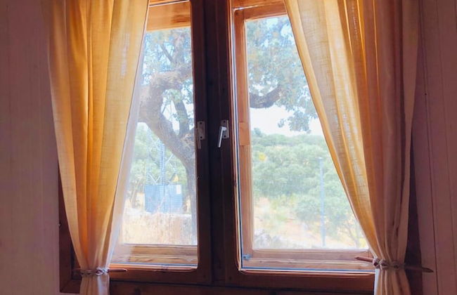 Hamlet's Friends - Foto 14