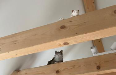 Langensteiner Idyll - Foto 35