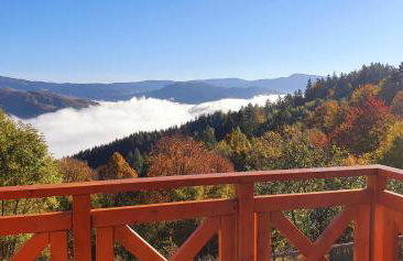 Domek Góralski Piwowarówka - Foto 52