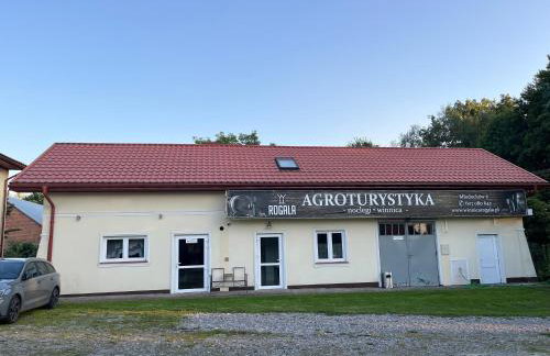 Agroturystyka ROGALA - Foto 11