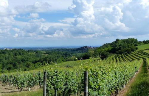 Il Bumbunin - Foto 26