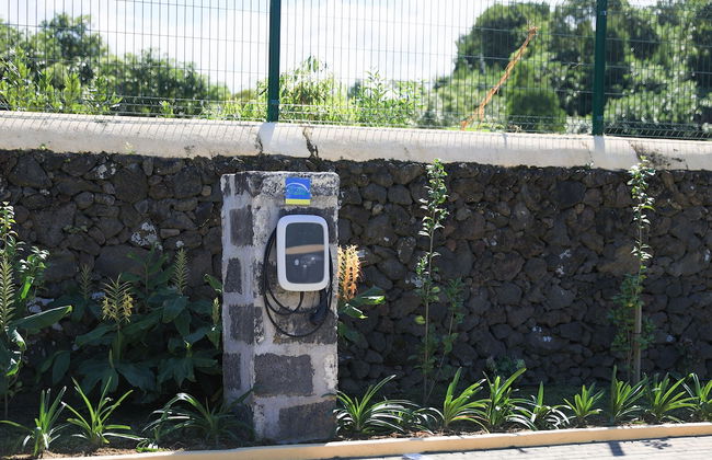 Parrots Village - Foto 38