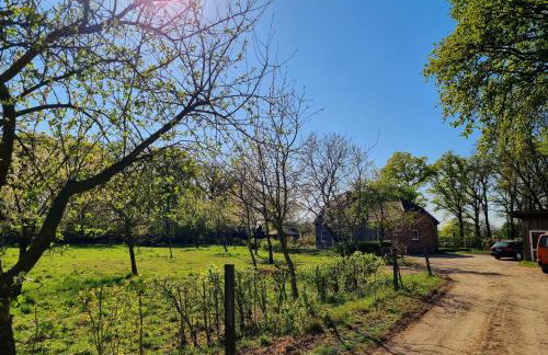 Die alte Waldkate - Windschief und mitten in der Natur - Foto 18
