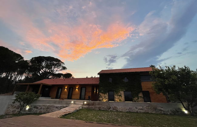 Casas do Pinheiro Grande - Foto 52