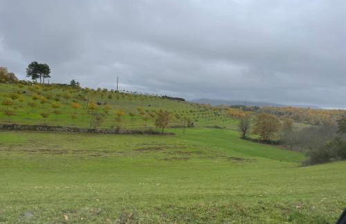 Casa do Souto - Nature & Experiences - Turismo Rural - Foto 67