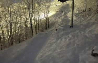 Cozy Charming Ski Chalet Sleeps 11 - Foto 50