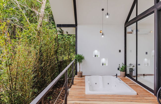 Floresta Monteverde - Foto 24