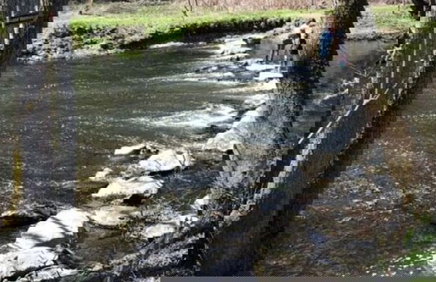 Holiday Home Am Beulskopf - Foto 15