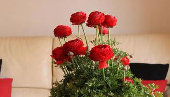 Altea Hills Villa Casablanca 23 - Foto 5