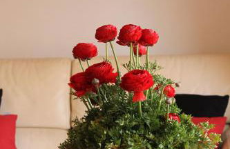 Altea Hills Villa Casablanca 23 - Foto 5