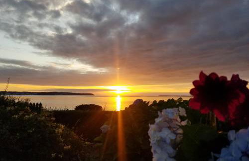 Pors Melenn - Foto 13