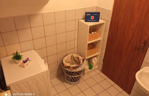 Yellow Rose - Foto 37