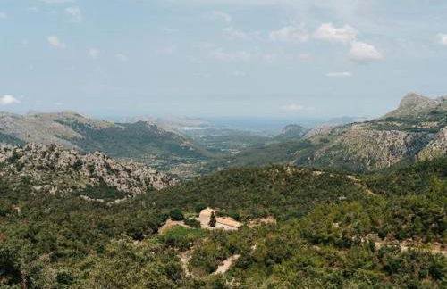 Finca Muntanya by SunVillas Mallorca - Foto 23