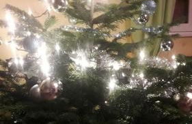 Gîte de famille dans les Vosges - Foto 34