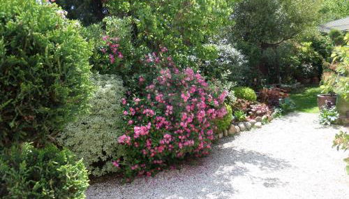 Le Clos Martin - Foto 4, Garden