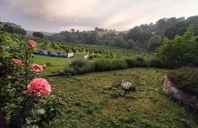 La Nocciolaia - Photo 19