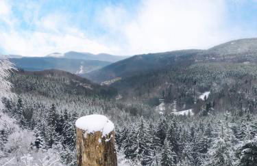 Ferienwohnung Merkurpanorama - Foto 22