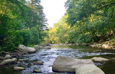 Große Wanderunterkunft am Hexentanzplatz U - Foto 16