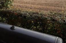 Field View 162a fifth Ave - Foto 4